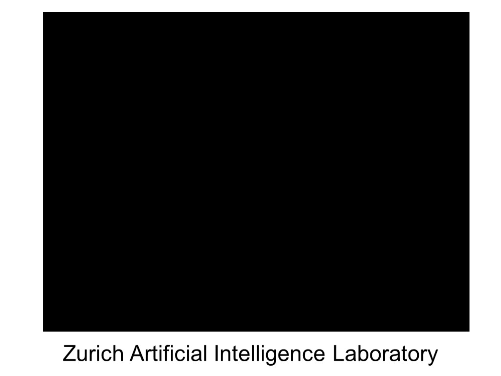 Zurich Artificial Intelligence Laboratory